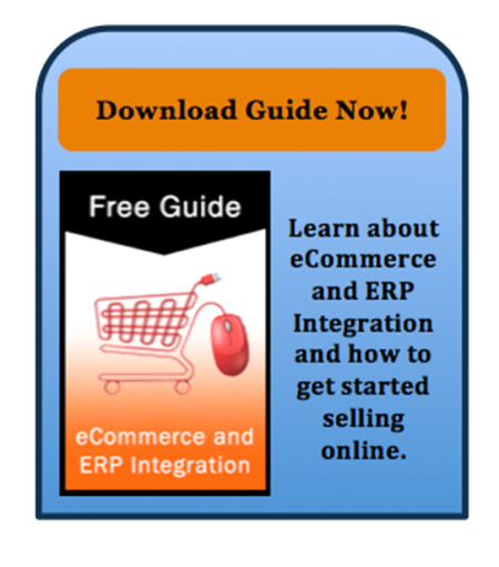 ERP eCommerce Intergration Guide