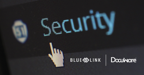 Data Security with Blue Link and DocuWare