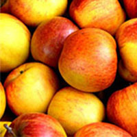 compare-apples-to-oranges