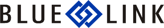 Blue Link Logo