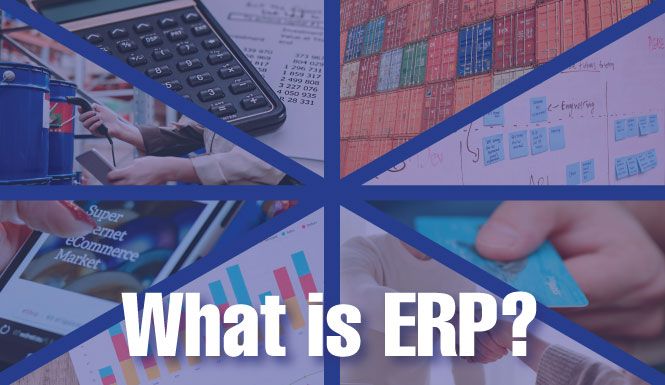 What-is-ERP-demo-video