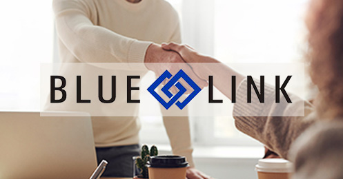 Blue Link Partnership