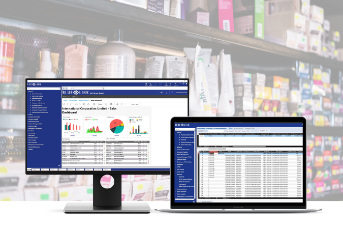 Salon and Cosmetics User Interface in Blue Link ERP